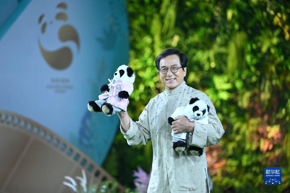 冰球突破哪个网站好爆
